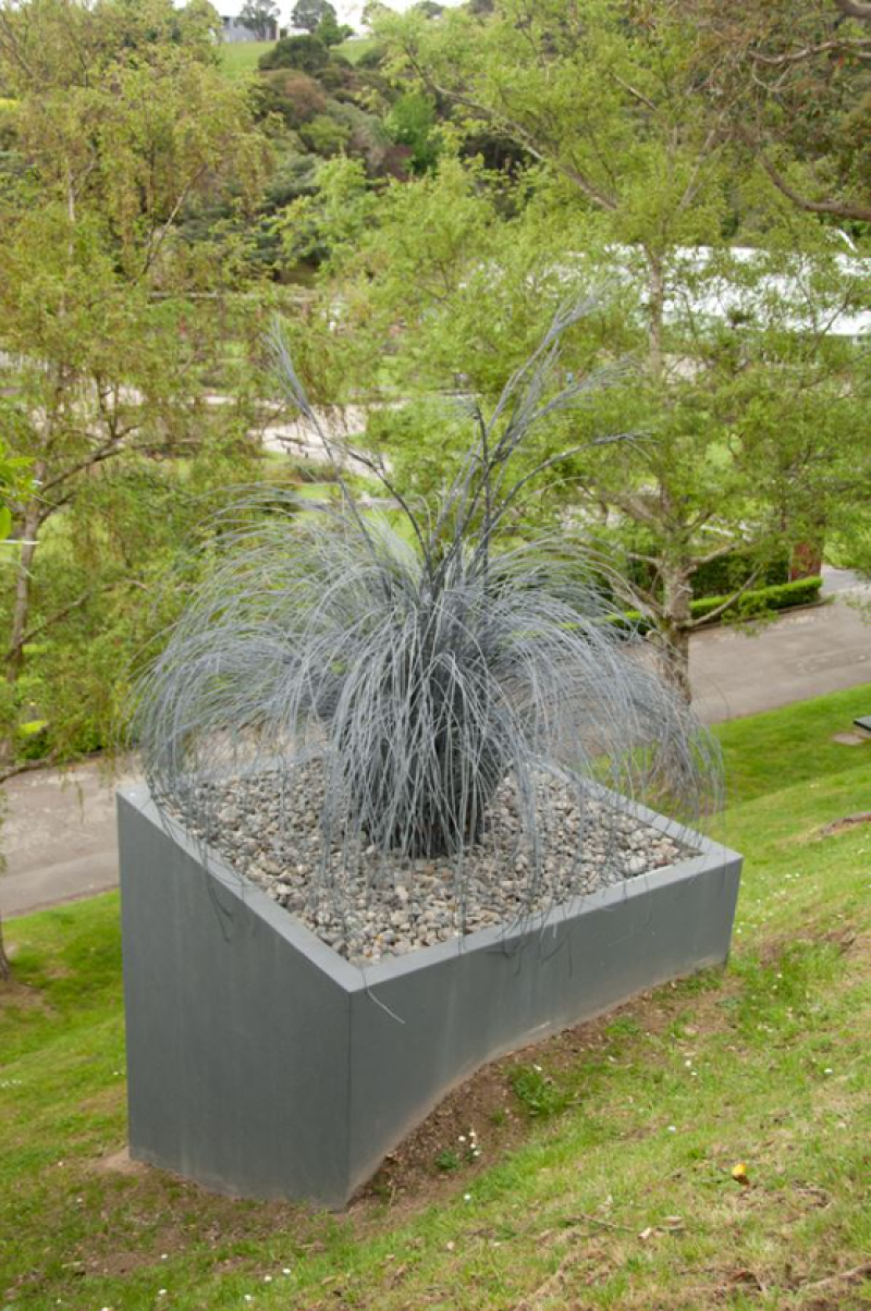 Photo courtesy of the Wellington Sculpture Trust | Issue 276 