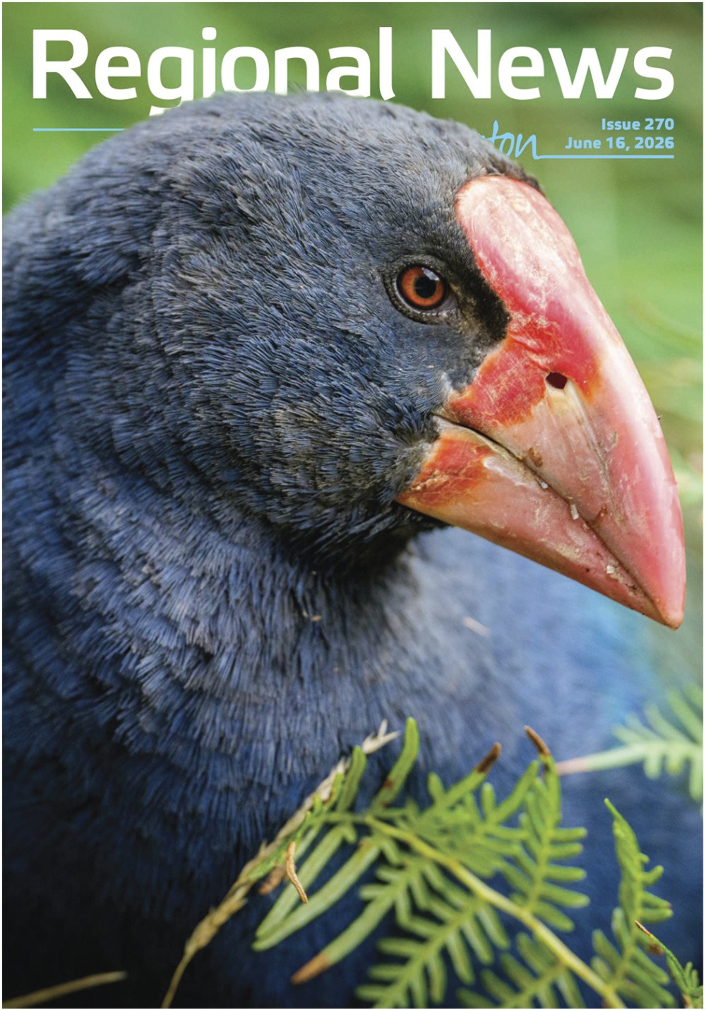 Issue 270 - June 16, 2026