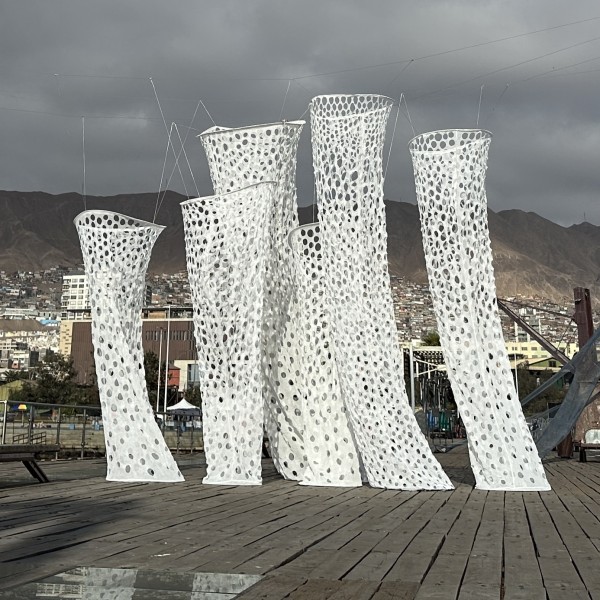 Dark Ecosystems - 249 | Regional News