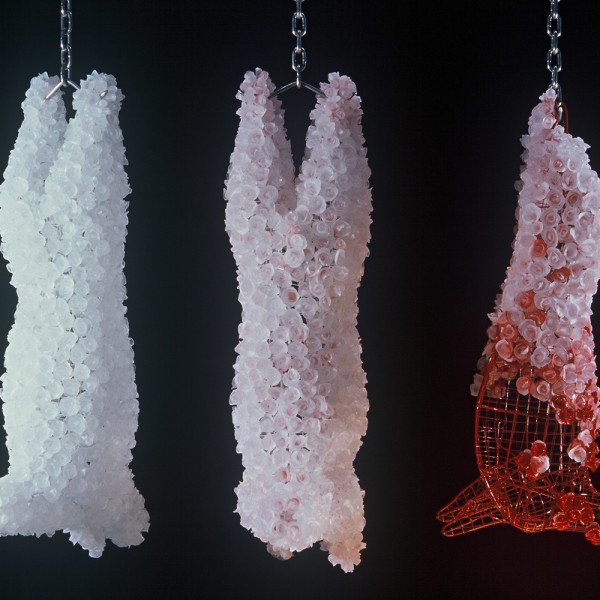 Expanding the boundaries - 256 | Regional News