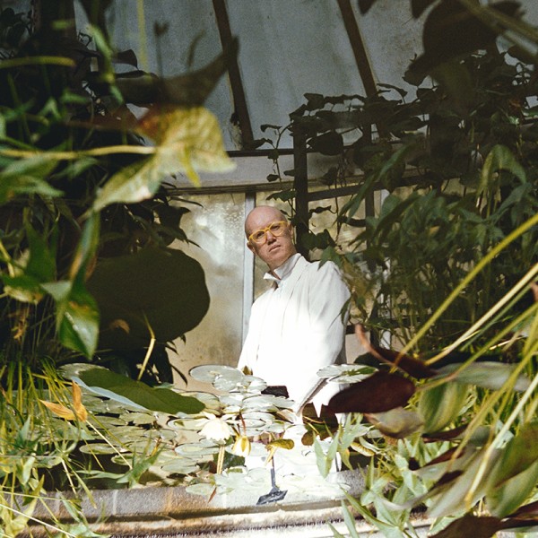 A love without limit - 246 | Regional News