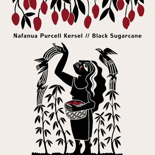 Black Sugarcane | Regional News