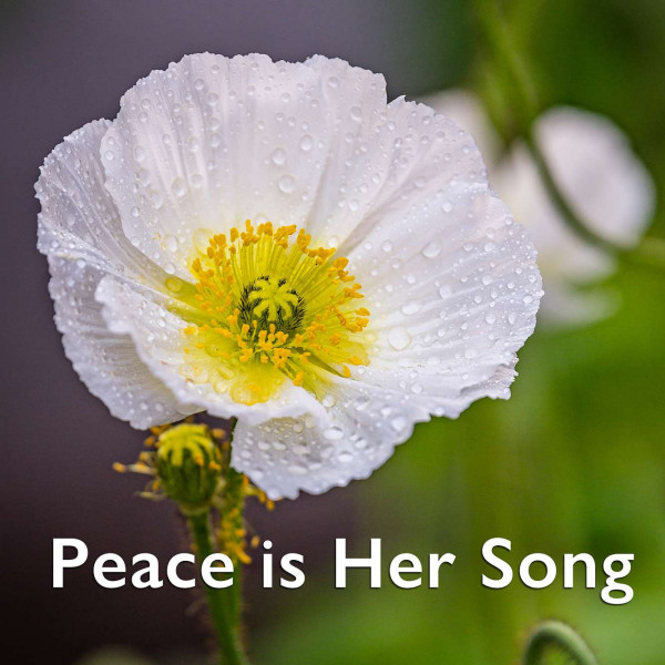 Peace is Her Song | Regional News