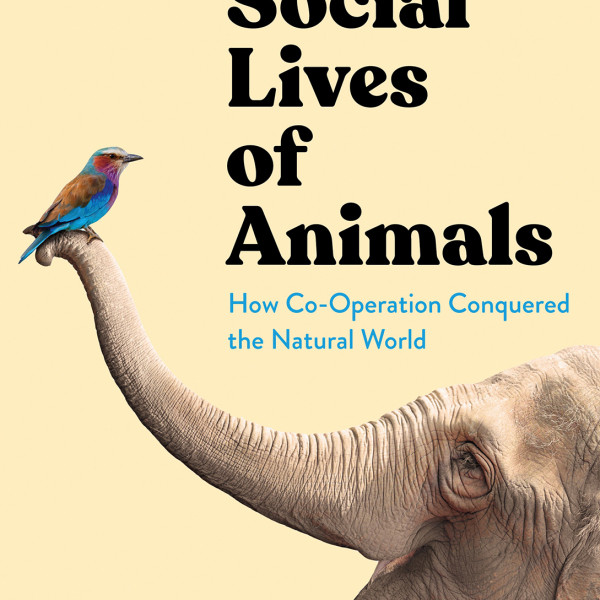 The Social Lives of Animals | Regional News