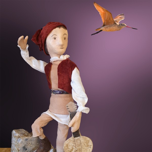 The Boy With Wings | Regional News