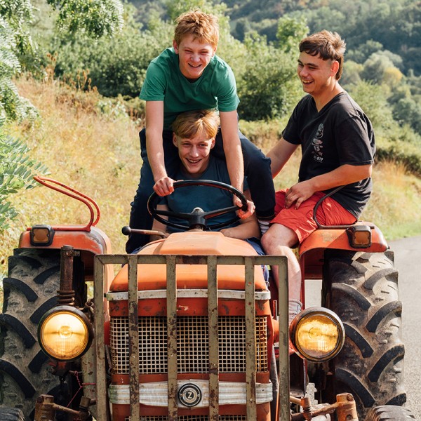 Holy Cow (Vingt Dieux) | Regional News